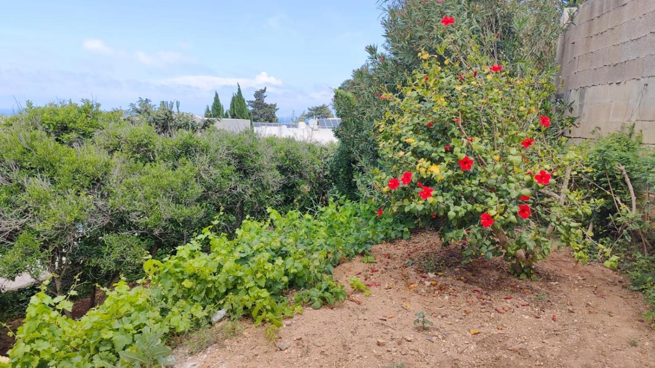 Stunning Villa With Pool, Table Tennis, Table Soccer And A Pool Table Naxxar Zewnętrze zdjęcie